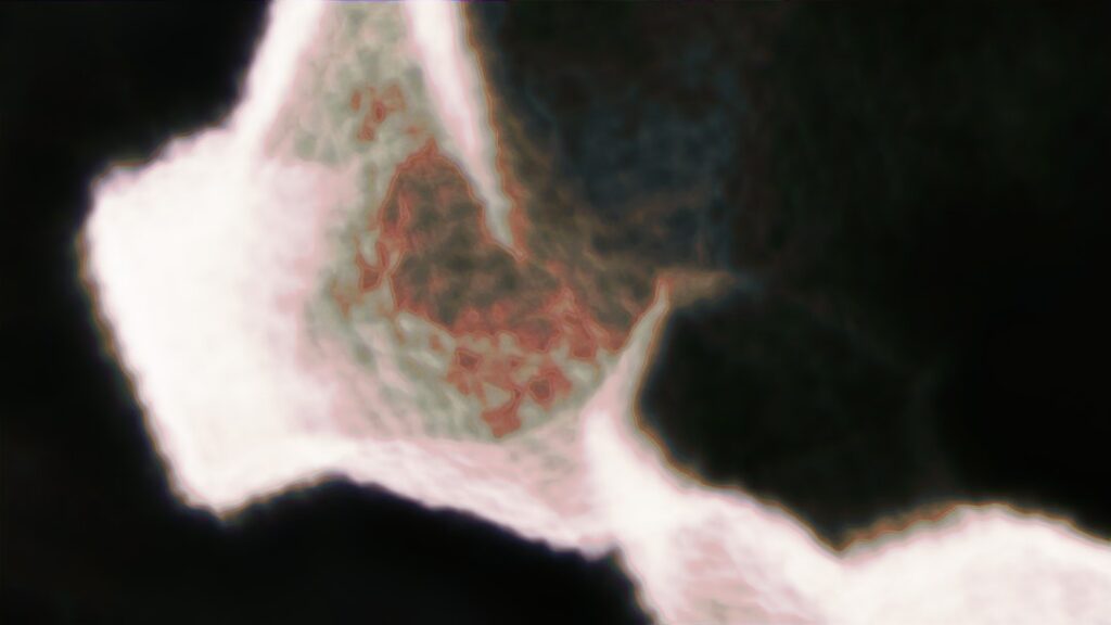 Het vermogen van Rinus Gerritsen: de financiële kant van een rocklegende