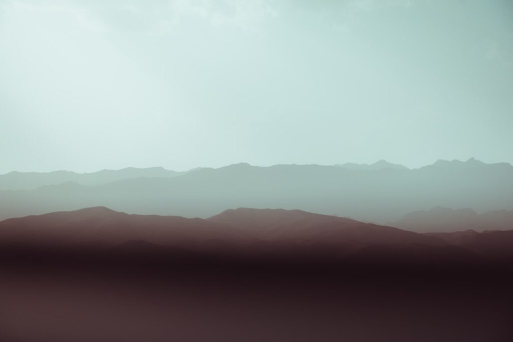 Het succes en vermogen van Freek Vonk: van bioloog tot miljonair