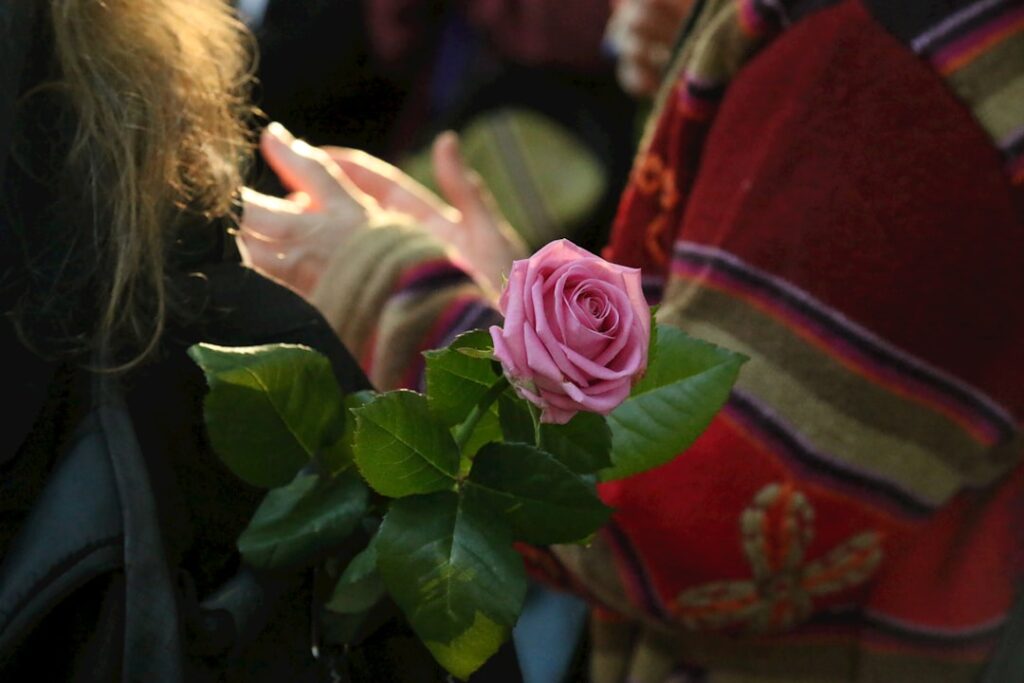 Sylvie Meis 2003: Het jaar van de doorbraak op televisie