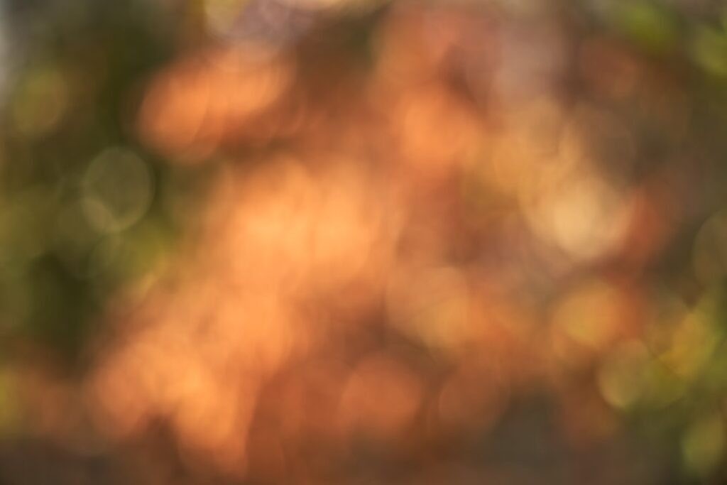 Hoe Isa Hoes haar vermogen opbouwde door hard werken en creativiteit