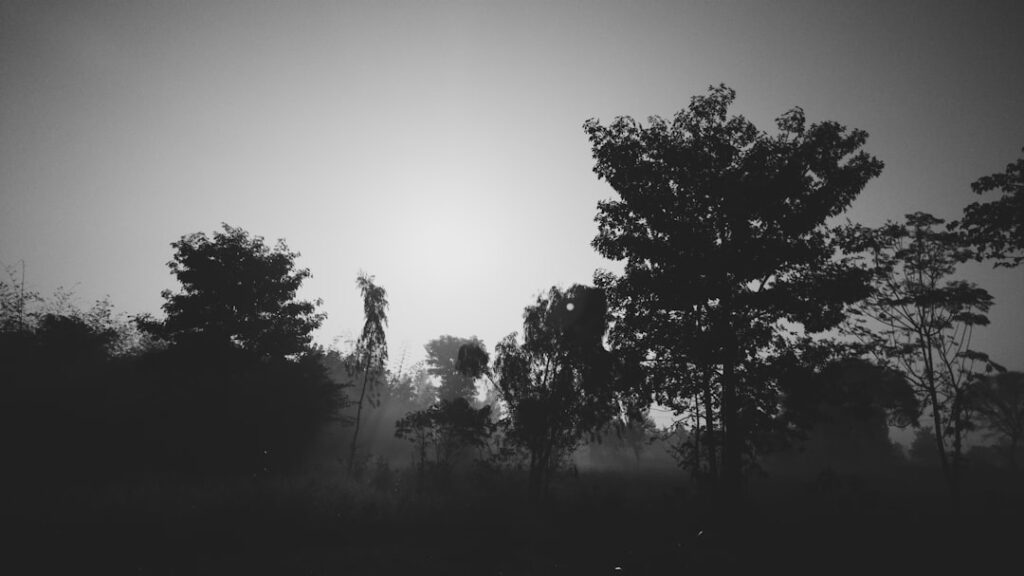 Het bijzondere verhaal achter het vermogen van Dzanella Tihic